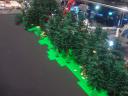 dsc08617.jpg