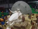 dsc08635.jpg