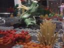 dsc08637.jpg