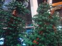 dsc08643.jpg