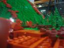 dsc08645.jpg