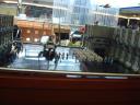 dsc01821.jpg