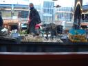dsc01824.jpg