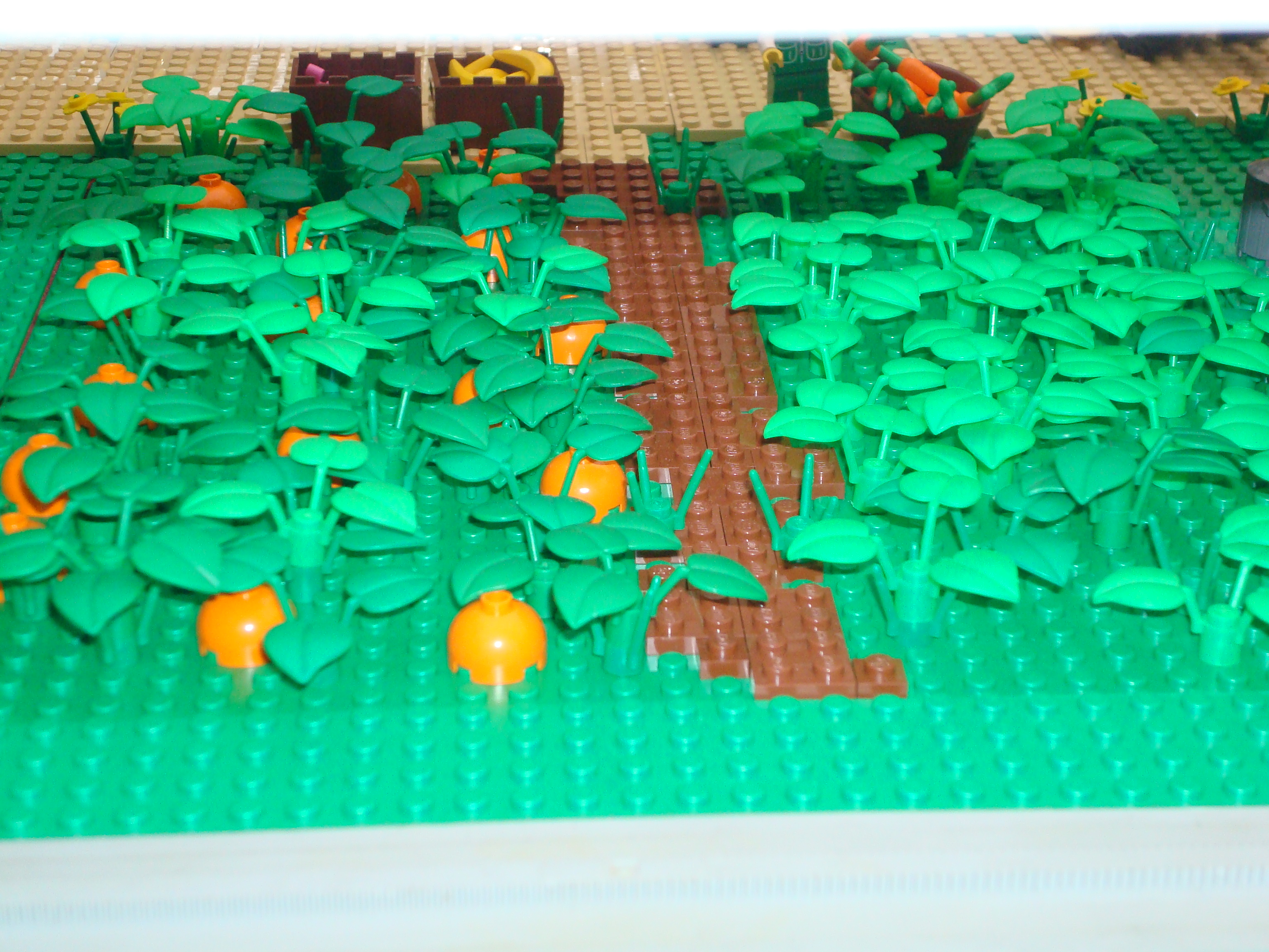 dsc03574.jpg
