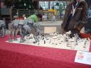 dsc03520.jpg