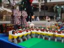 dsc03525.jpg