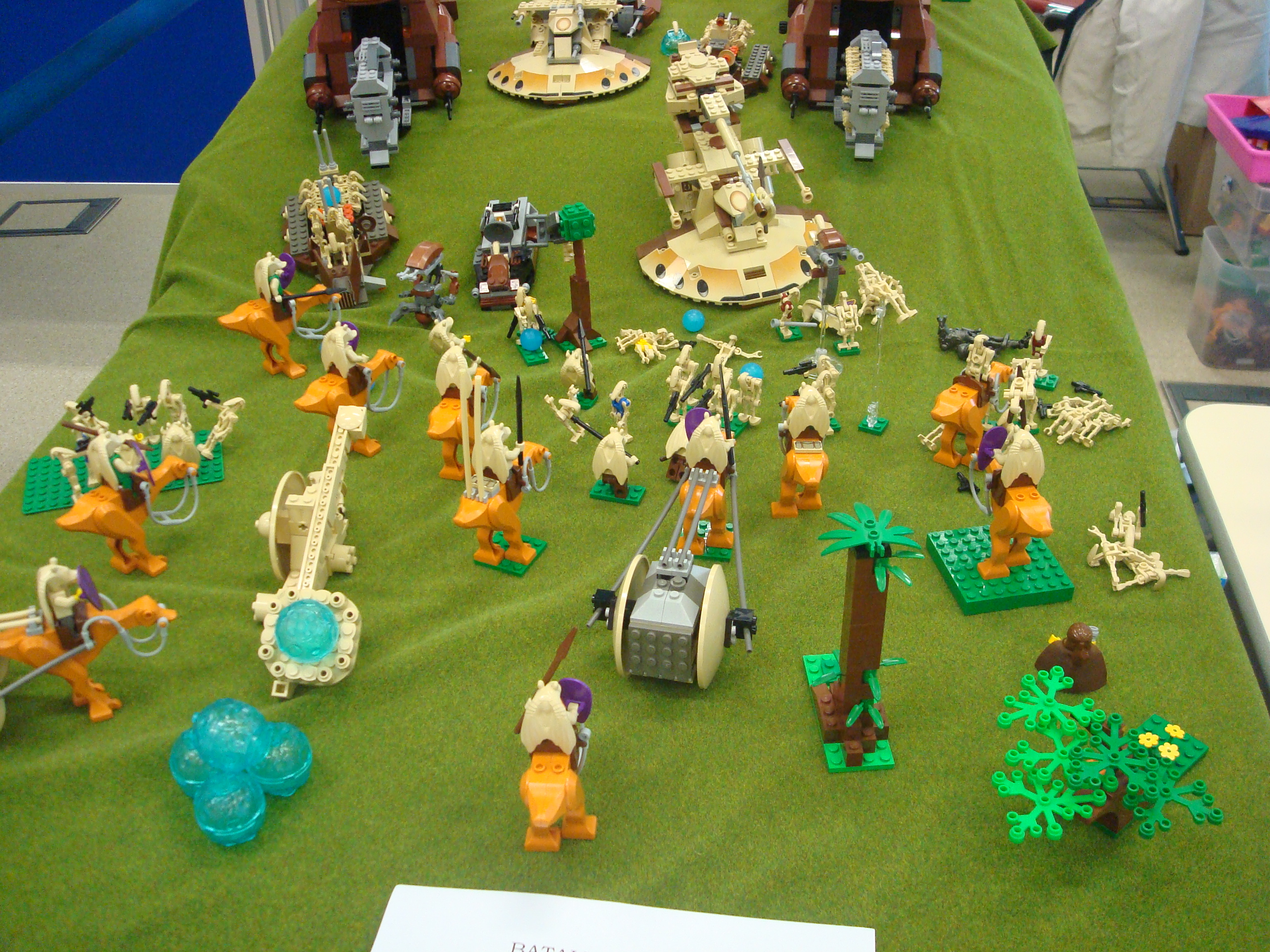 dsc04664.jpg