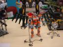 dsc04661.jpg