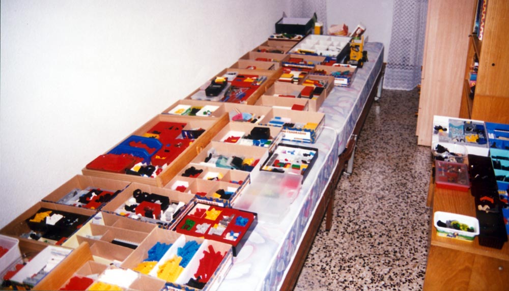 2004cat2.jpg