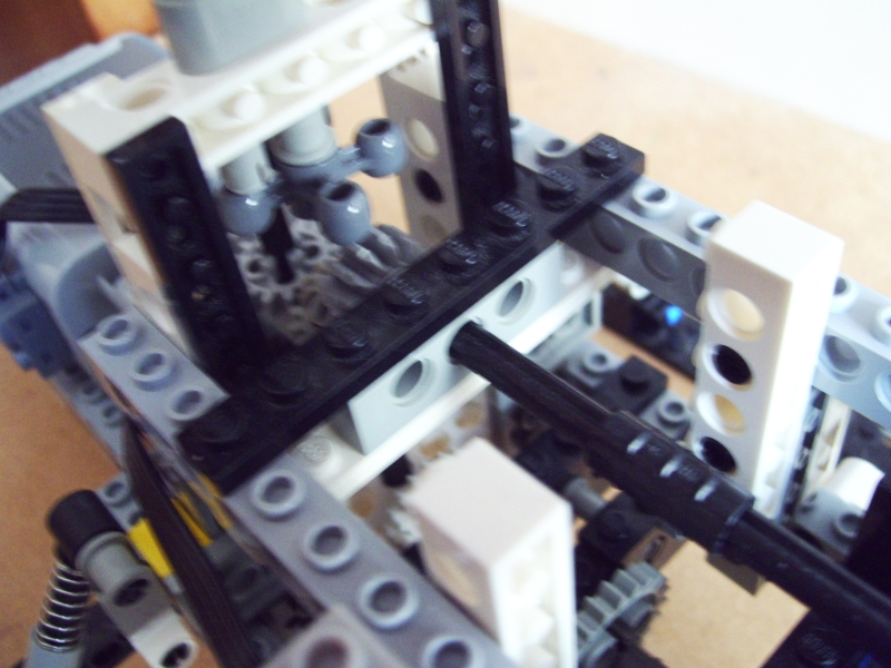 mhc_007.jpg