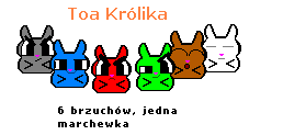 toa_krolika.png