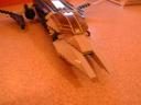 dscn3439.jpg