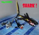 shark.jpg