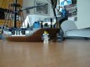 dsc05926.jpg