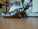 dsc05930.jpg