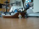 dsc05931.jpg