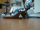 dsc05938.jpg