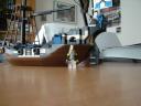 dsc05945.jpg
