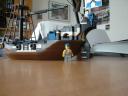 dsc05948.jpg