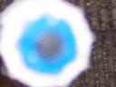 tail-eye.jpg