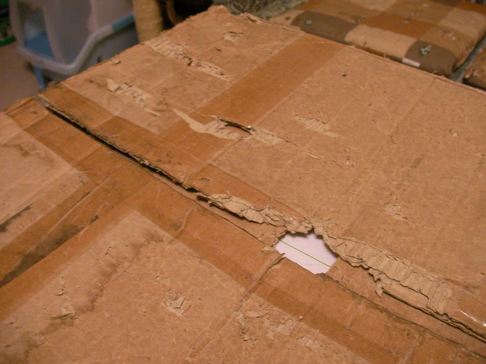 20091213015.jpg