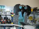 dsci0255.jpg
