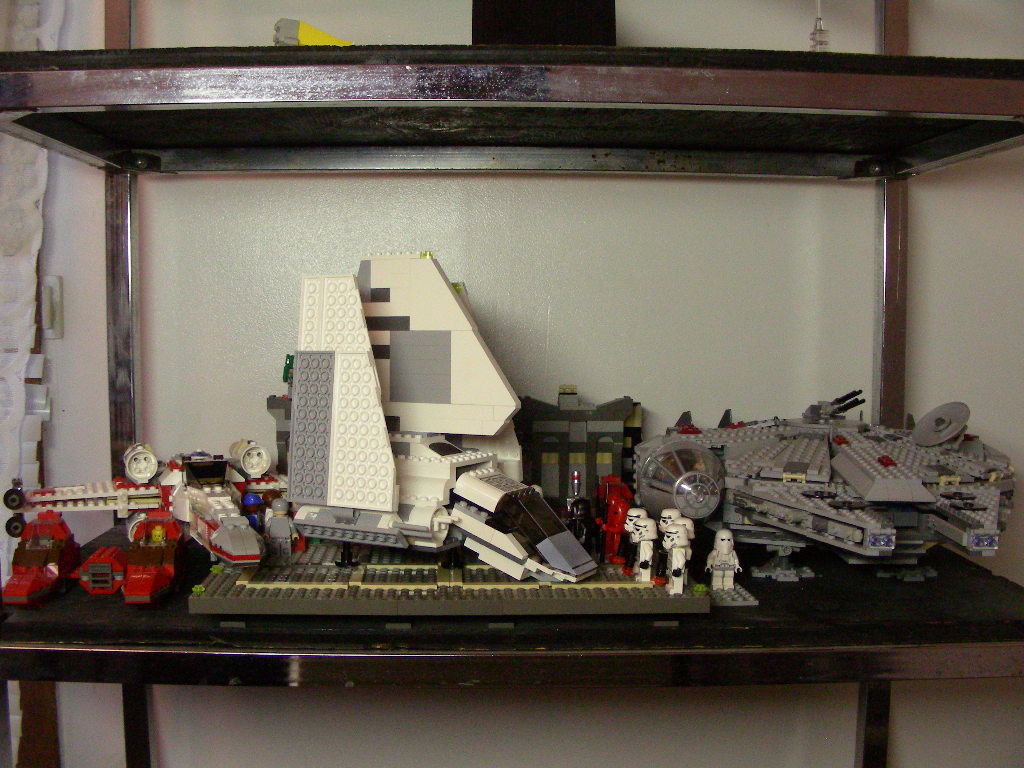 ep.v_shelf_1.jpg