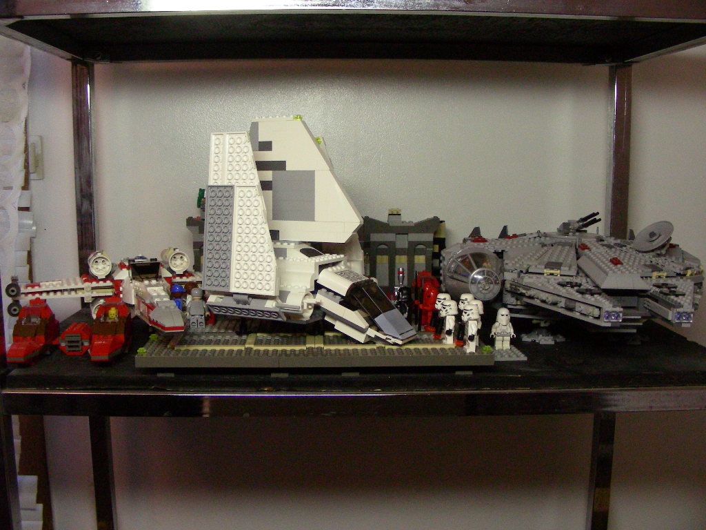 ep.v_shelf_2.jpg