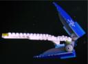 wing_complete_r.jpg