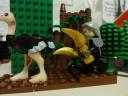 dsc00864.jpg