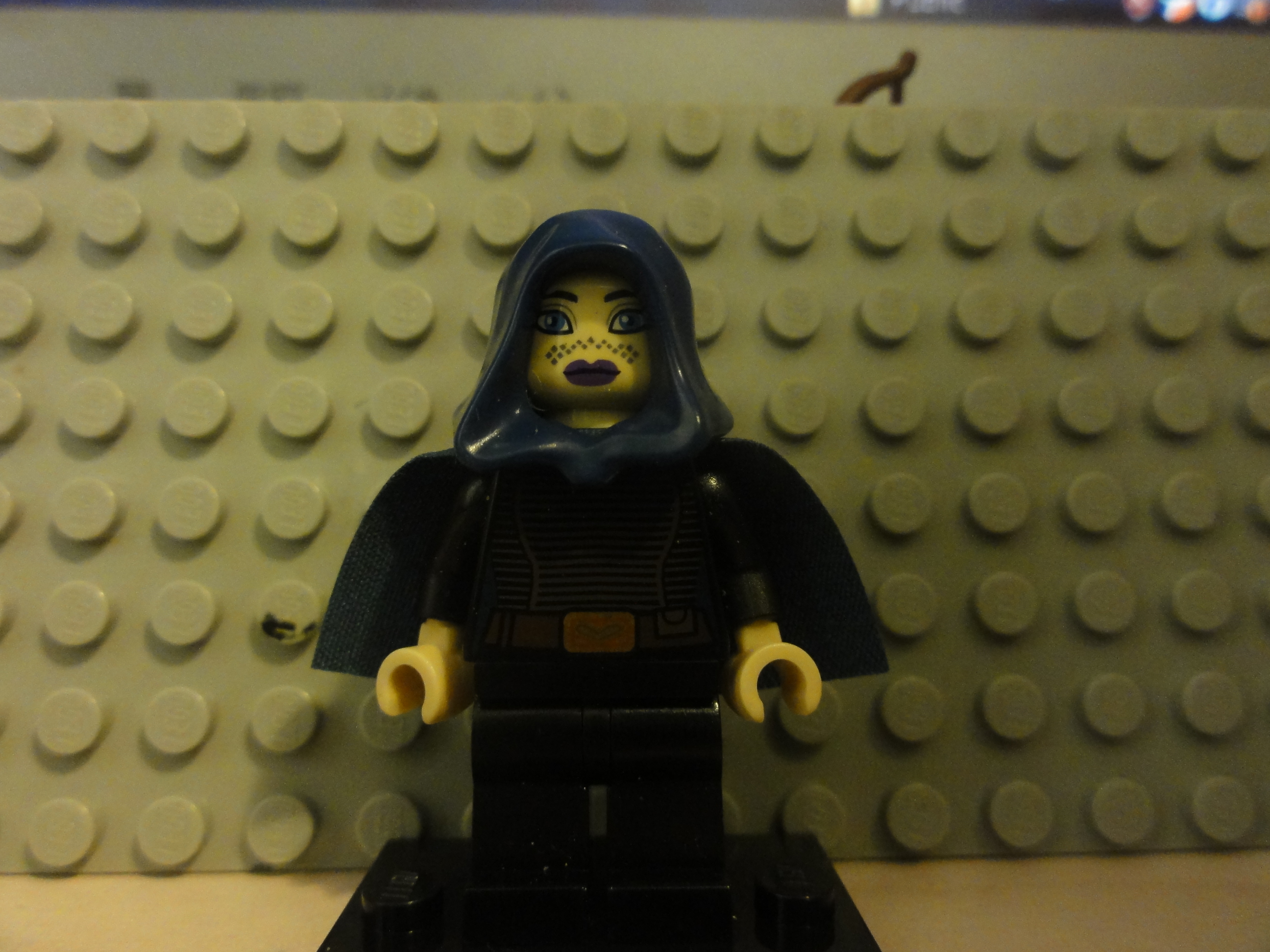 dsc09914.jpg