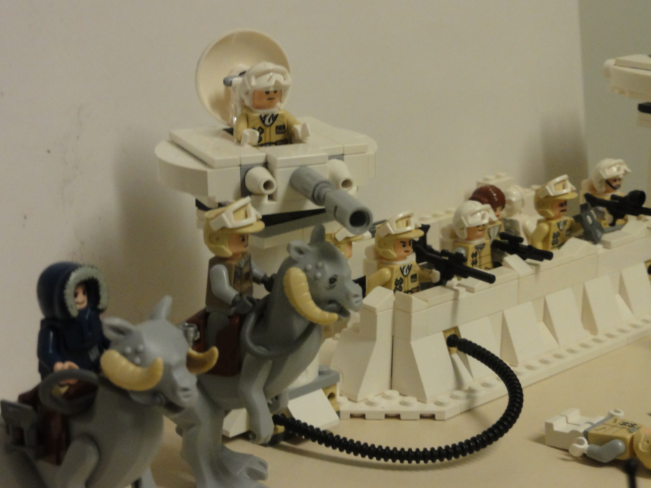 dsc00582.jpg