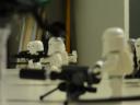 dsc00585.jpg