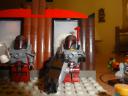 dsc09388.jpg