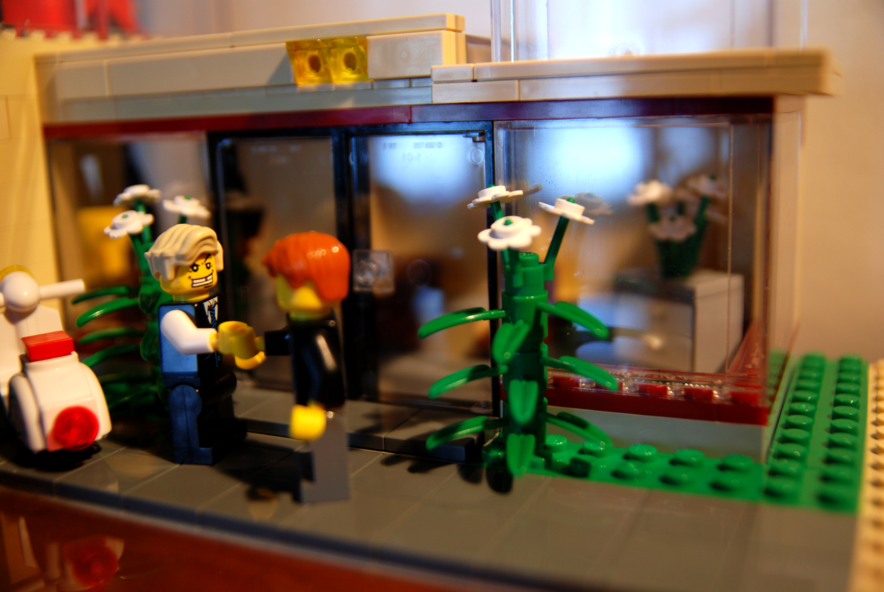 dsc_0024.jpg
