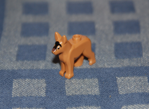 doggie.jpg