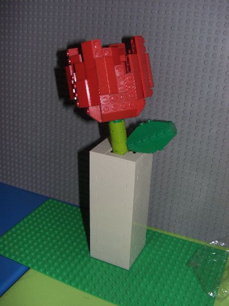 cimg2860.jpg