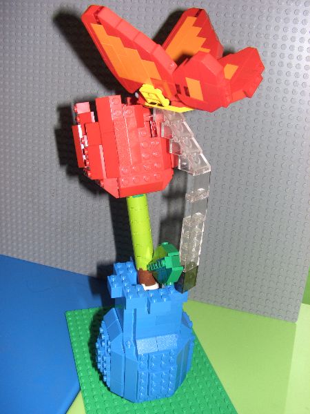 cimg2894.jpg