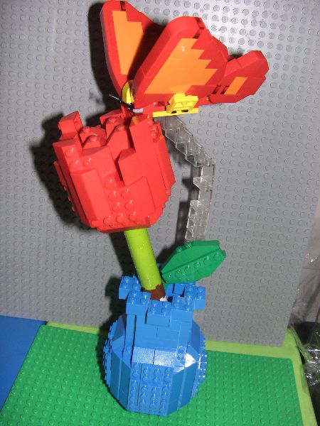 cimg2897.jpg