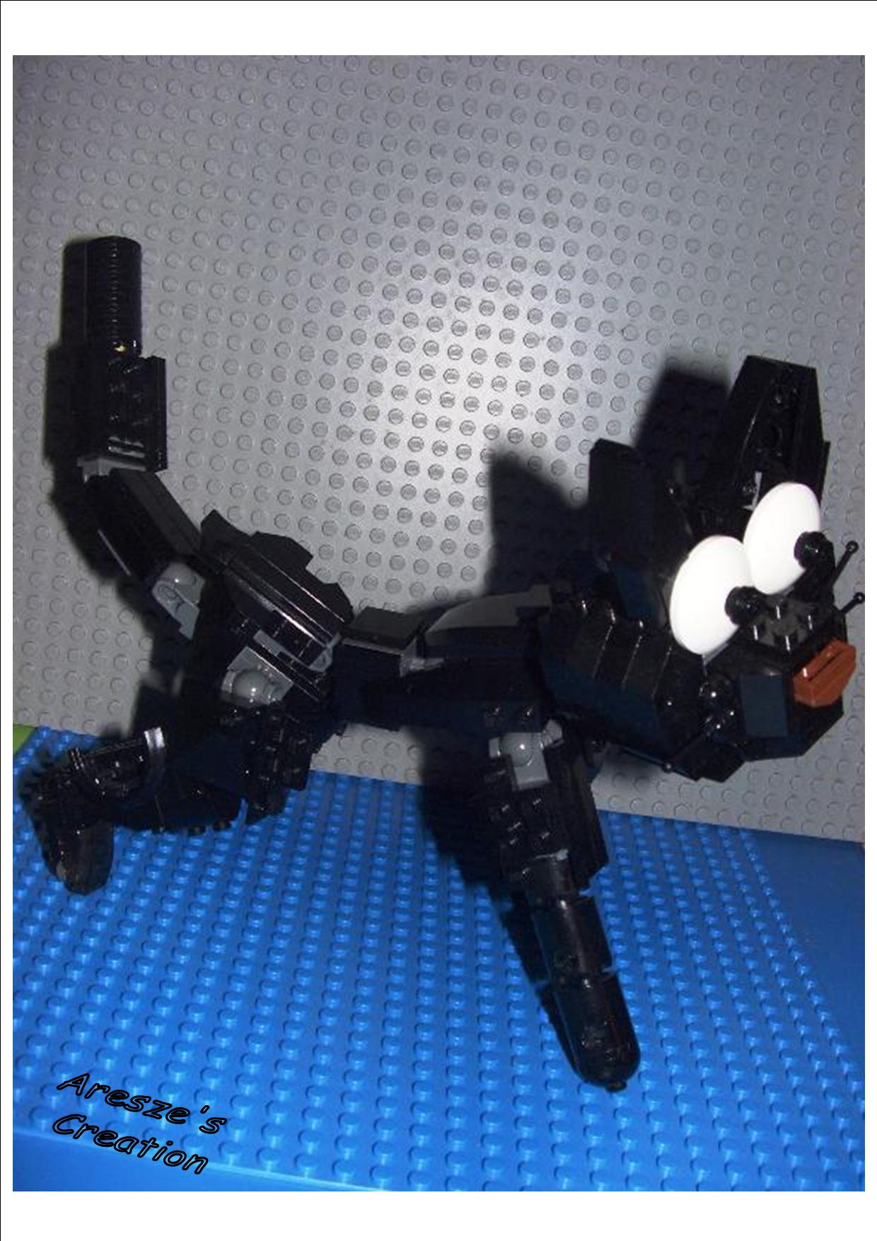 03.jpg