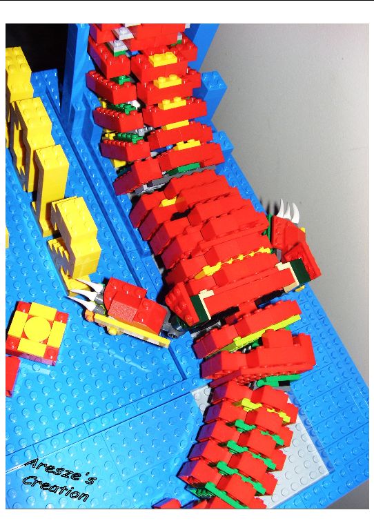 dragon08.jpg