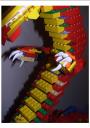 dragon06.jpg