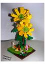 Flower2015