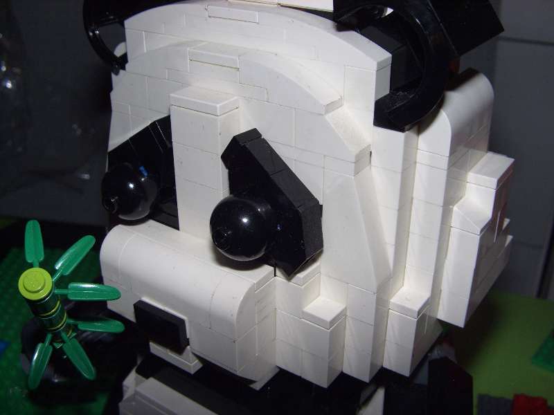 cimg3158.jpg