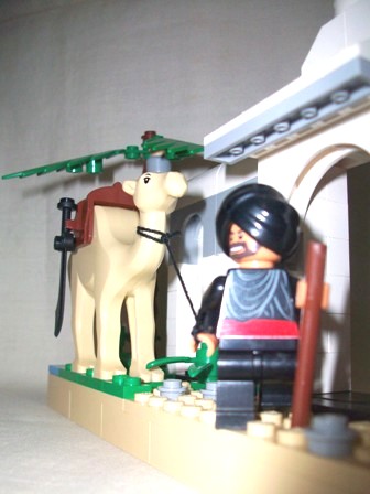06.jpg