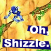 shizzle.gif
