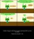 comic19.gif