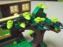 5766_71.jpg