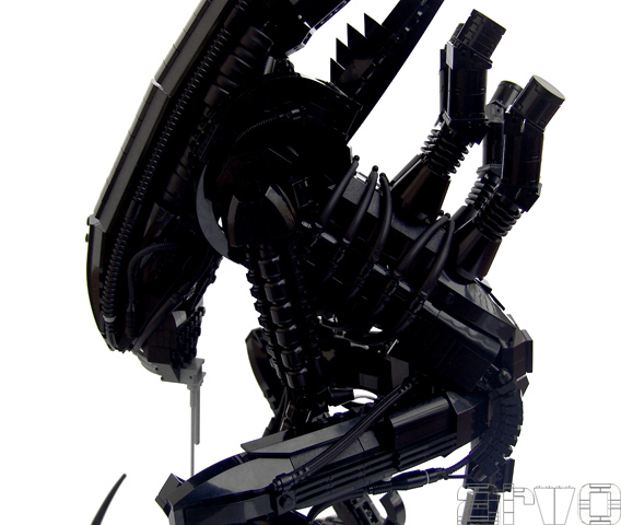alien_01.jpg