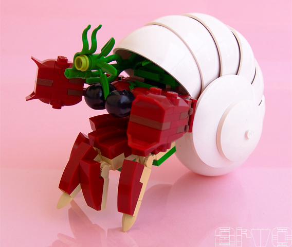 hermit_crab_01.jpg